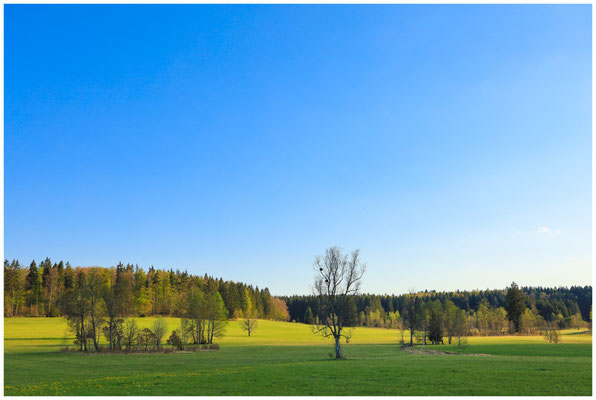 Landschaft im Irndorfer Hard 5420