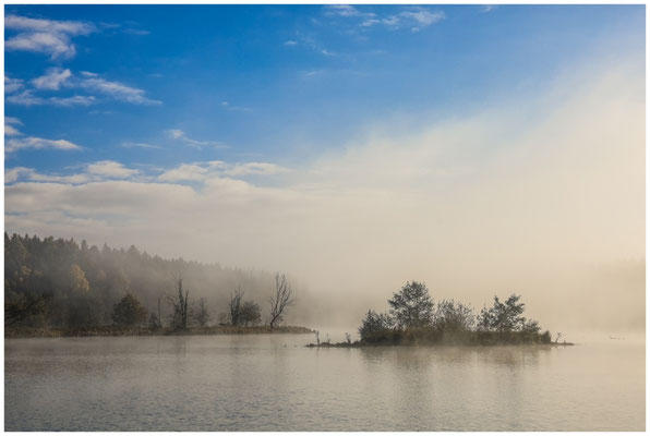 Uferlandschaft Schwackenreuter Seen mit Nebelresten 8839