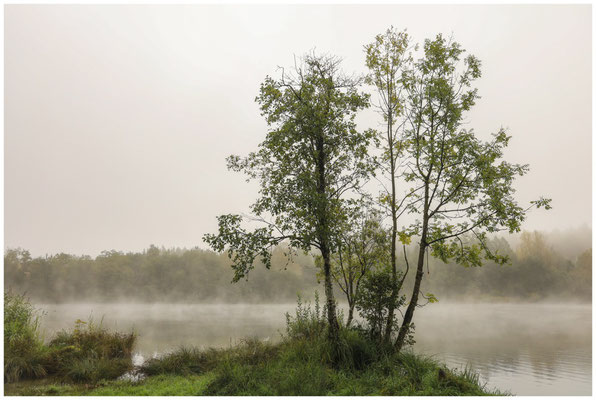 Uferlandschaft Schwackenreuter Seen 7064