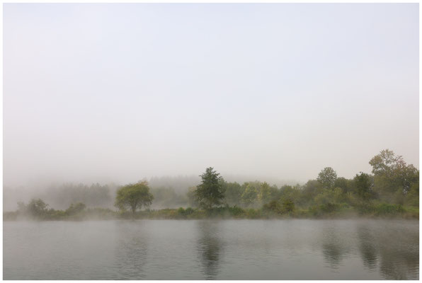 Uferlandschaft Schwackenreuter Seen 7027