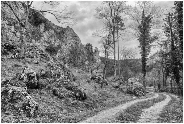 Wanderweg im Naturpark Obere Donau s/w 0445