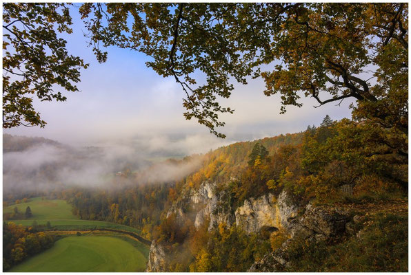 Letzte Nebelreste über der Donau 8615