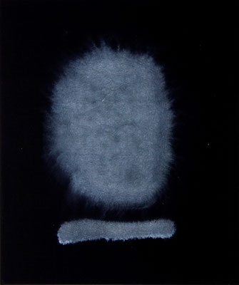 DINGSCHATTEN WÄSSRIG / Tempera auf schwarzem Stoff / 65 x 54 cm / 2014