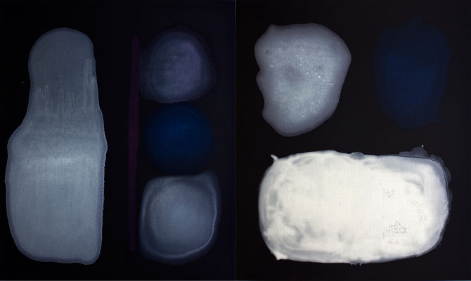DINGSCHATTEN DIPTYCHON / Tempera auf schwarzem Stoff / 160 x 270 cm / 2014
