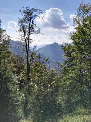 Dann gehts inmitten wunderbarer Landschaft wieder talwärts.