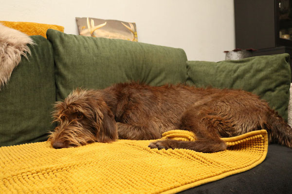 Anni gemütlich auf dem Sofa