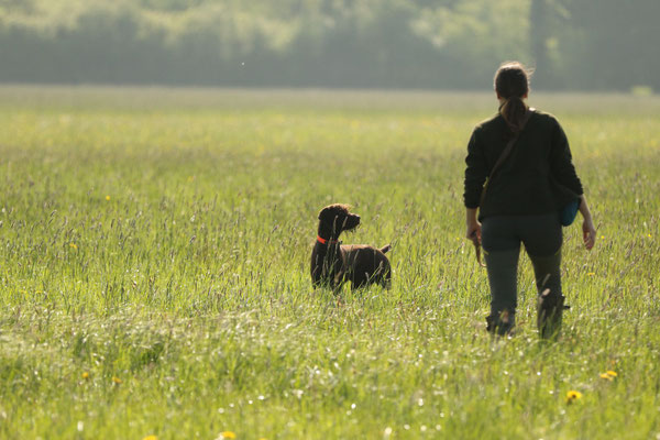 Aura und Hannah im Feld