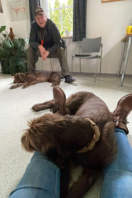 Vordergrund Melissa mit Baghira (am aufwachen) - hinten Tobias und Bella beim einschlafen...