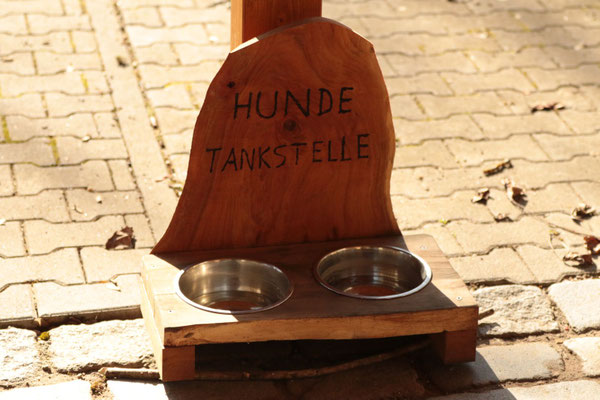 Auch unsere Hunde sind willkommen
