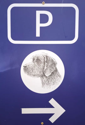 Unverfehlbar