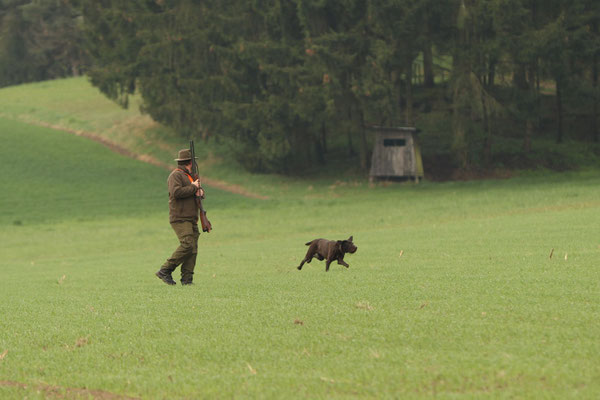 Johannes und Ginny vom Oberland
