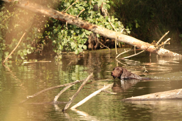 Arbeit im Wasser