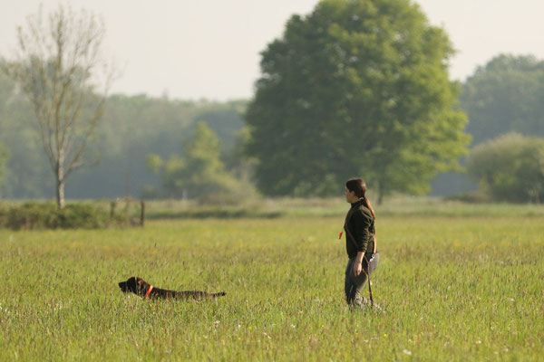 Hannah und Aura im Feld