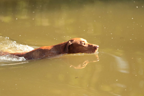 Anakin im Wasser