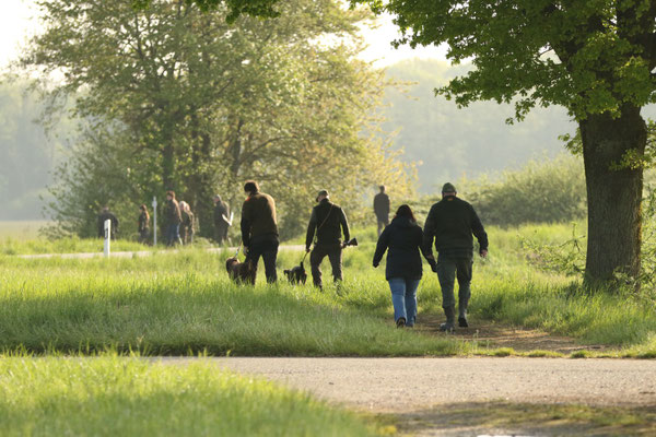 Corona auf dem Weg ins Feld