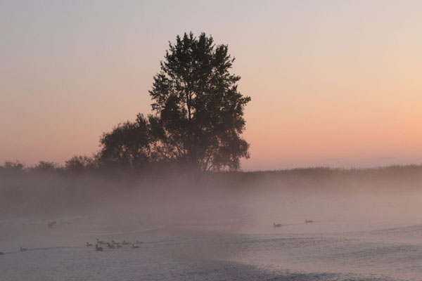 Früh morgens - Erste Eindrücke von der Elbe