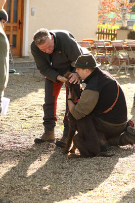 Zahnkontrolle bei Edmund vom Westerloher Land