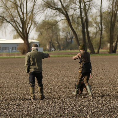 Auf der Suche nach der Sasse