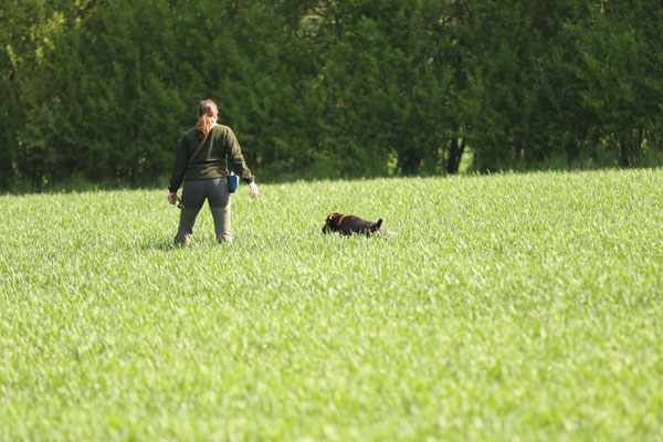 Hannah und Aura vom Landglück