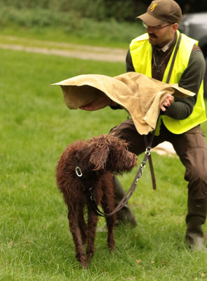 Virtuoses Handtuchhandling