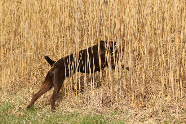 und weg isser ...