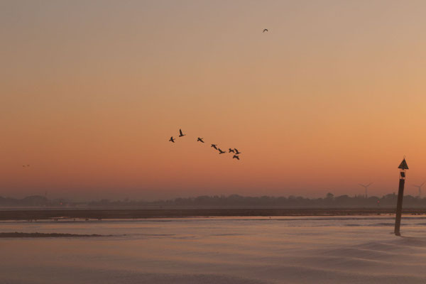 Morgenstimmung