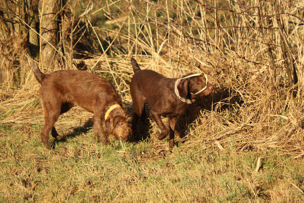 Anni und Diethild
