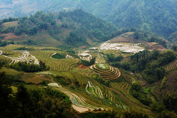 Cascading rice terraces around Sapa, northern Vietnam.