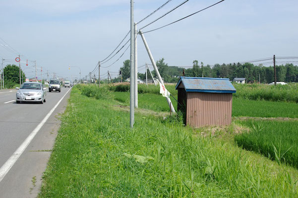 お堂の全景