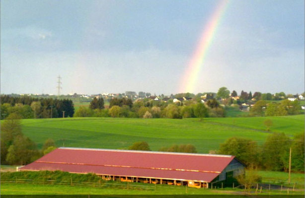 Unser Pferde-Paradies