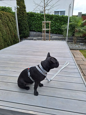 Boudicca