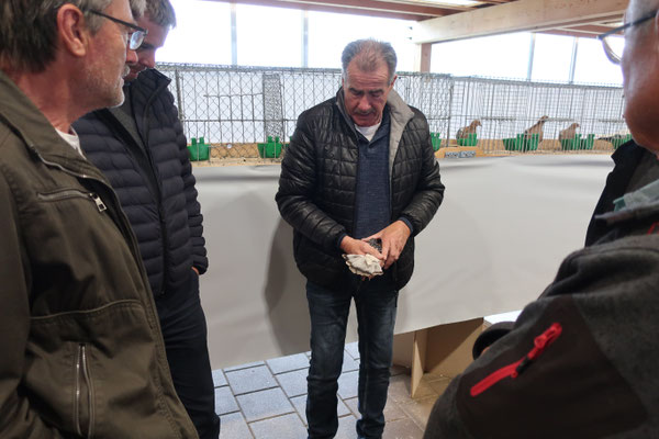 Besprechung Nürnberger Lerchen