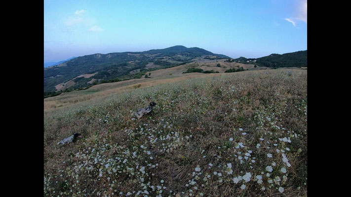 la piccola Luna in ferma e la madre in consenso
