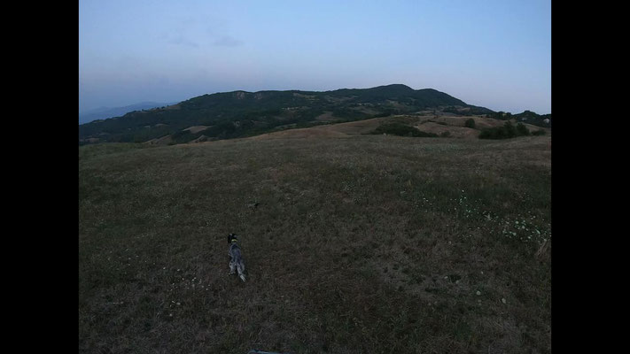 Venus in ferma e Luna in consenso