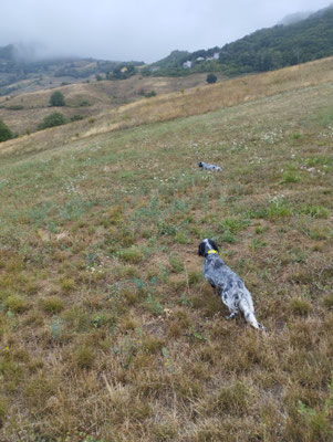 mamma ferma e figlia in consenso