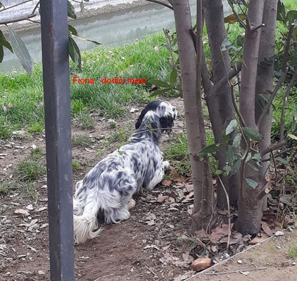 Fiona sorella del Messner in consenso nel giardino di casa