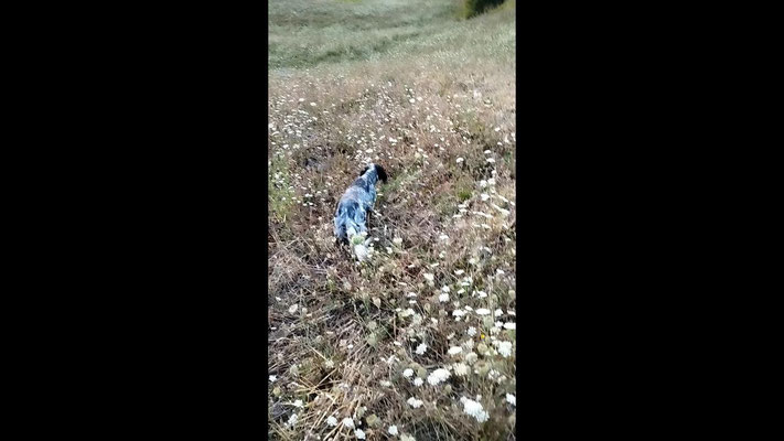 Luna in ferma su grigie