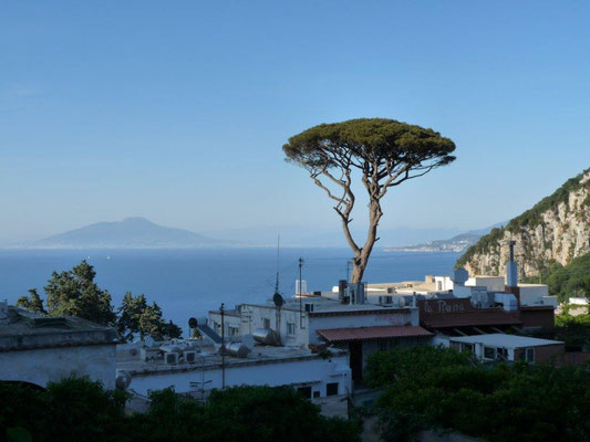 Vesuv-Blick von Capri