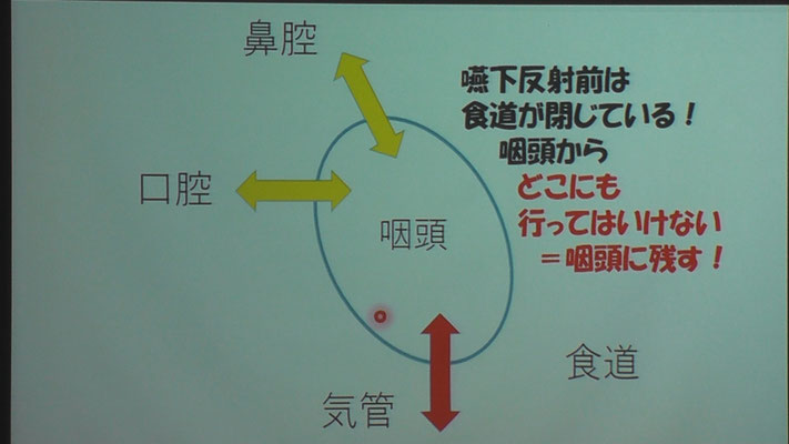 嚥下反射以外は、食道は閉じている。