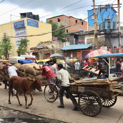 1 day tour Delhi with your private tun-tuk. Explore the best sites in New and Old Delhi in a private full day tour