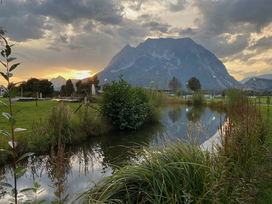 Fischteich mit Blick auf den Grimming