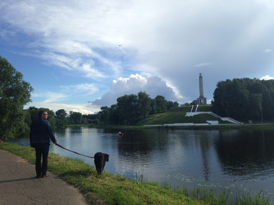 Blick auf den Fluss 