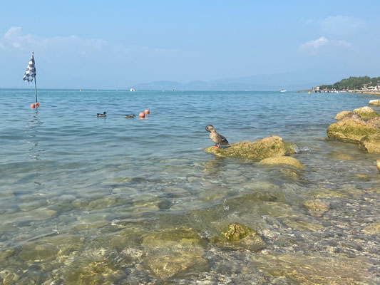 Blick auf den Gardasee