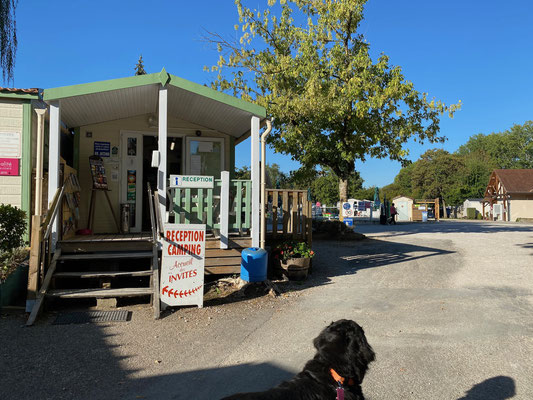 Camping Du Pasquier in Dole