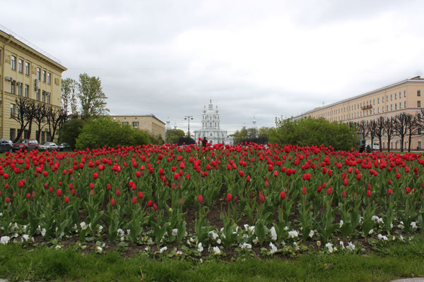 Das Smolny Kloster in Sankt Petersburg (2015)