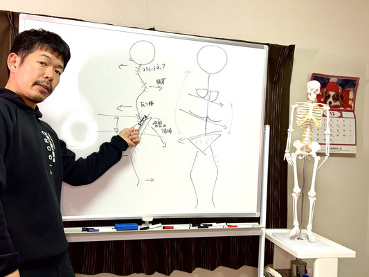 新潟市東区の整体院 N Cure（エヌキュア） ホワイトボードでの腰痛・姿勢の歪み原因解説
