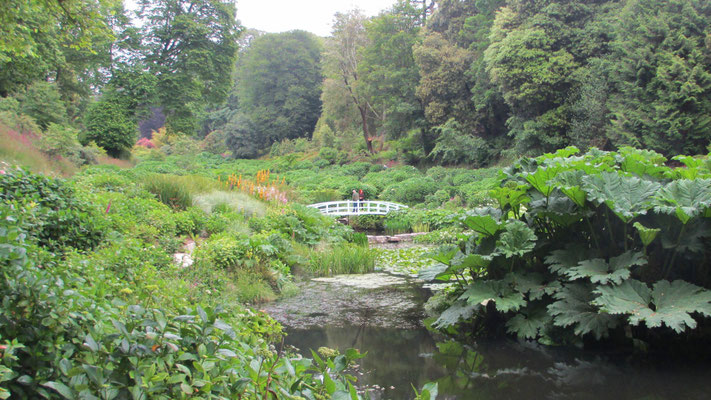 Mittwoch: Rundgang durch den Trebah Garten (4 von 6).