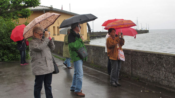 Donnerstag: Fotos auch bei Regen (festgehalten bei Langenargen am Bodensee).