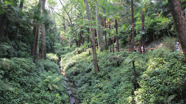 Freitag: Botanischer Garten der Villa Carlotta