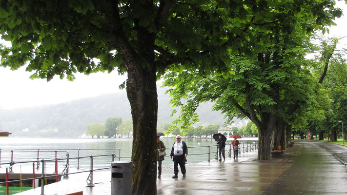 Dienstag: Rundgang entlang der See Promenade in Bregenz